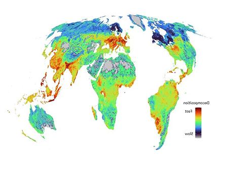 Decomposition rate map